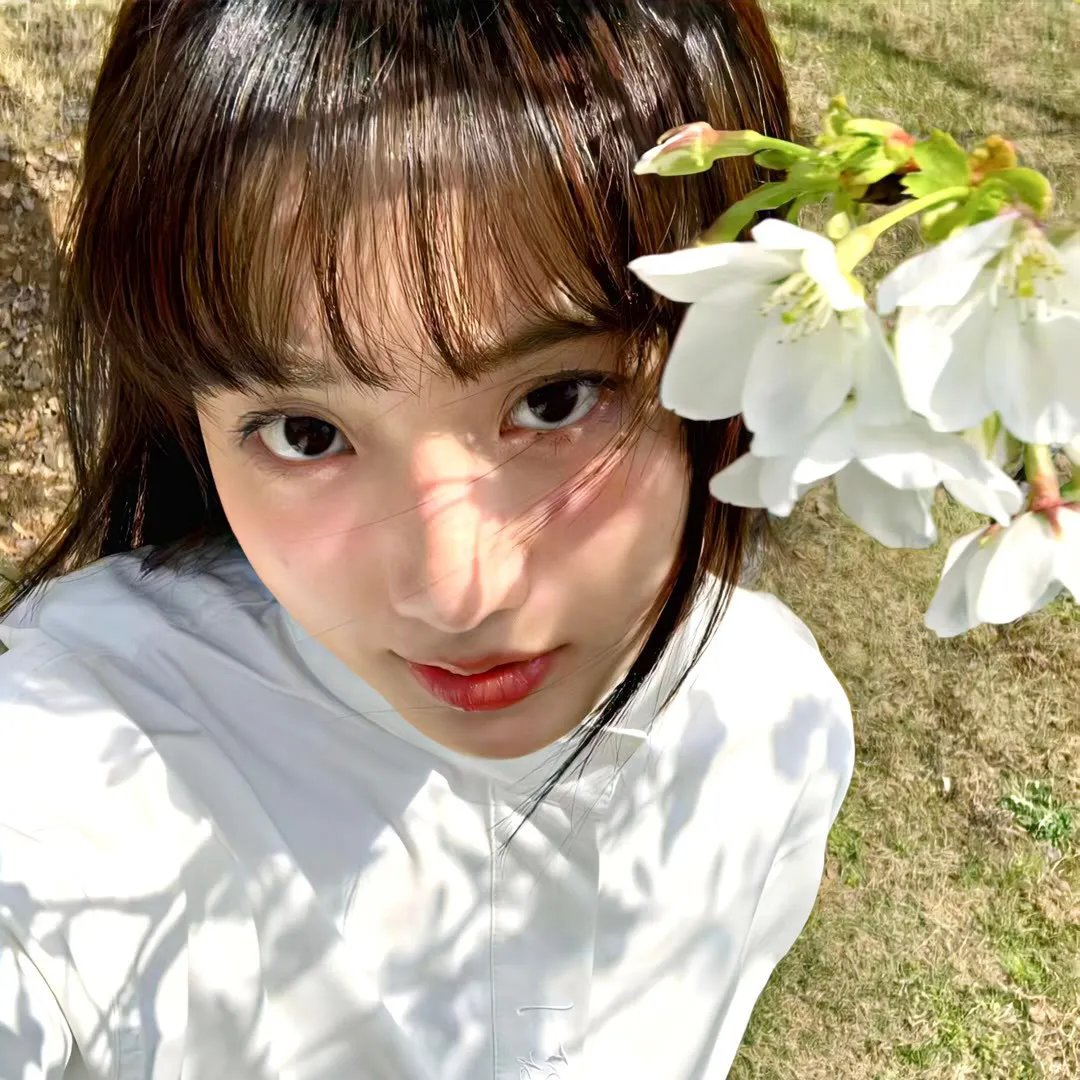 架步搜秘